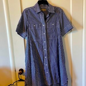Everlane striped navy and white a-line shirt dress